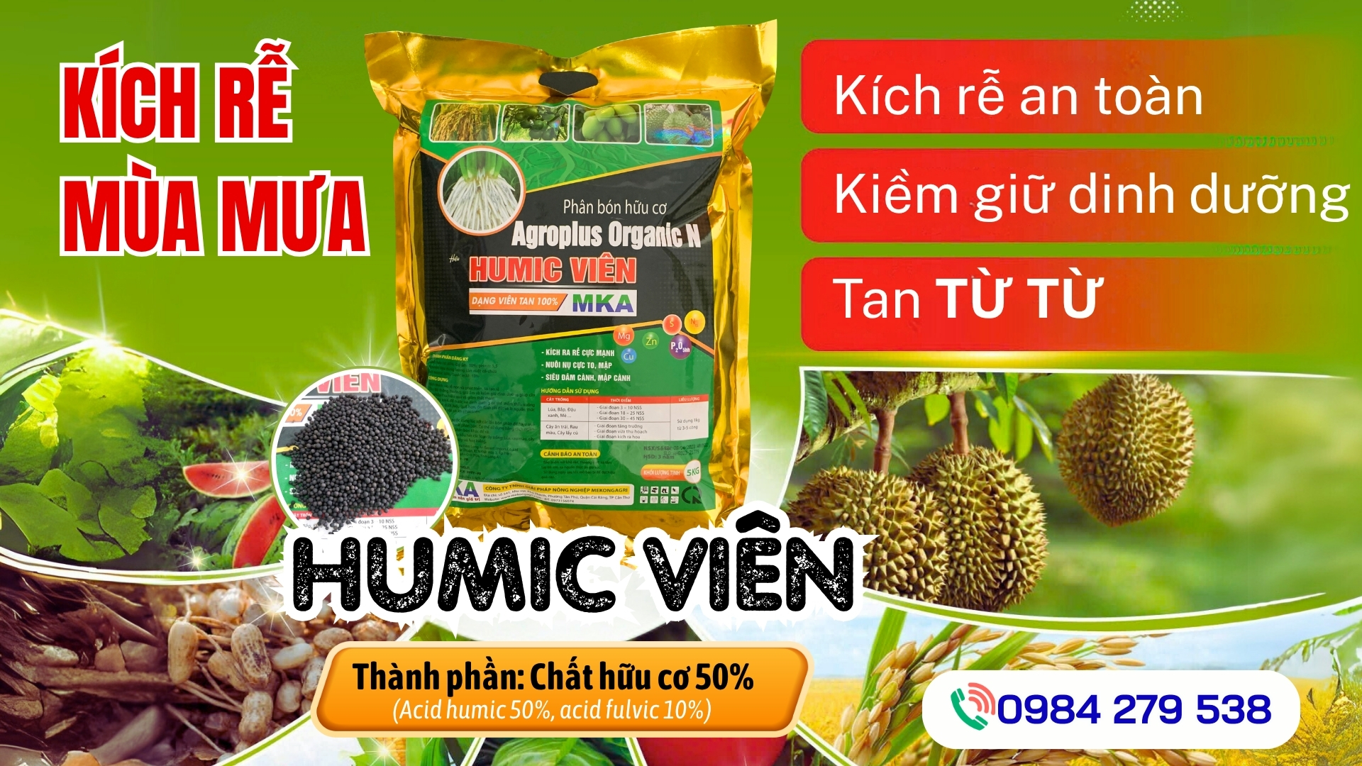 Kỹ thuật chăm sóc sầu riêng mùa mưa (5)